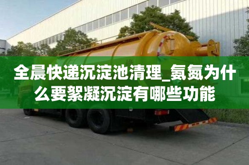 全晨快遞沉淀池清理_氨氮為什么要絮凝沉淀有哪些功能