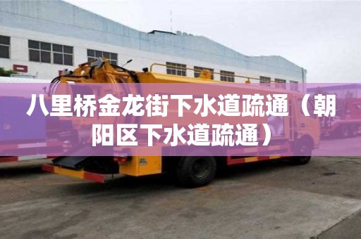 八里橋金龍街下水道疏通（朝陽(yáng)區(qū)下水道疏通）