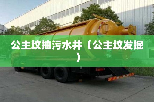 公主墳抽污水井（公主墳發掘）