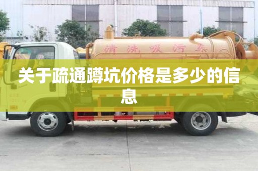 關(guān)于疏通蹲坑價格是多少的信息