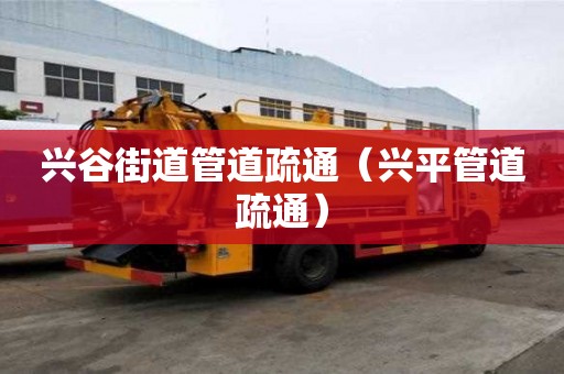 興谷街道管道疏通（興平管道疏通）