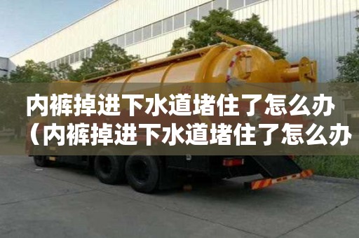 內褲掉進下水道堵住了怎么辦（內褲掉進下水道堵住了怎么辦?。? title=
