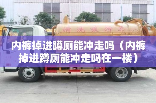 內褲掉進蹲廁能沖走嗎（內褲掉進蹲廁能沖走嗎在一樓）