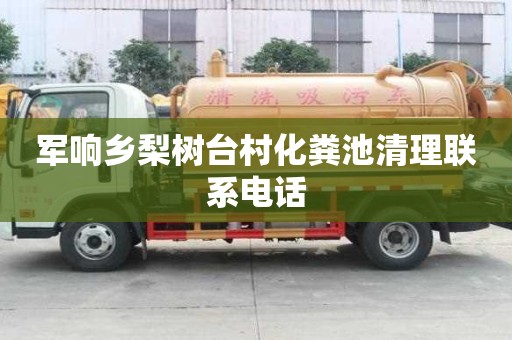 軍響鄉梨樹臺村化糞池清理聯系電話