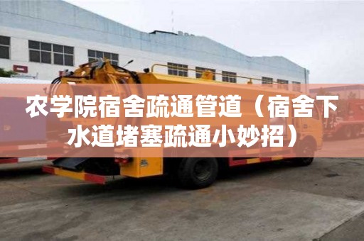 農(nóng)學院宿舍疏通管道（宿舍下水道堵塞疏通小妙招）