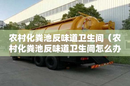 農村化糞池反味道衛生間（農村化糞池反味道衛生間怎么辦）