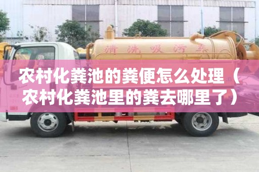 農村化糞池的糞便怎么處理（農村化糞池里的糞去哪里了）