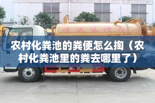 農村化糞池的糞便怎么掏（農村化糞池里的糞去哪里了）