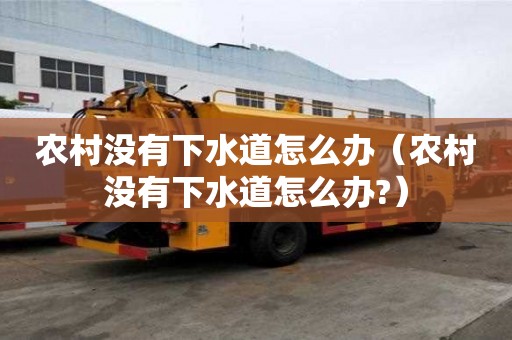 農(nóng)村沒有下水道怎么辦（農(nóng)村沒有下水道怎么辦?）