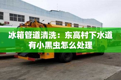 冰箱管道清洗：東高村下水道有小黑蟲怎么處理