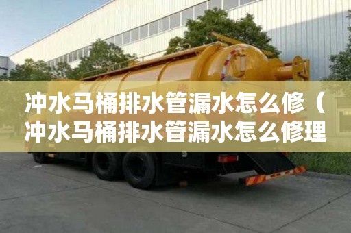 沖水馬桶排水管漏水怎么修（沖水馬桶排水管漏水怎么修理）