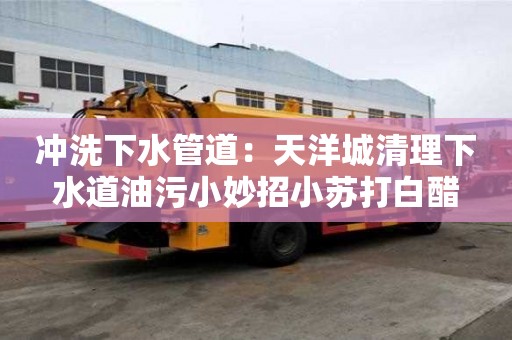 沖洗下水管道：天洋城清理下水道油污小妙招小蘇打白醋
