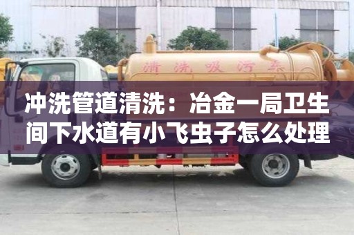 沖洗管道清洗：冶金一局衛(wèi)生間下水道有小飛蟲子怎么處理