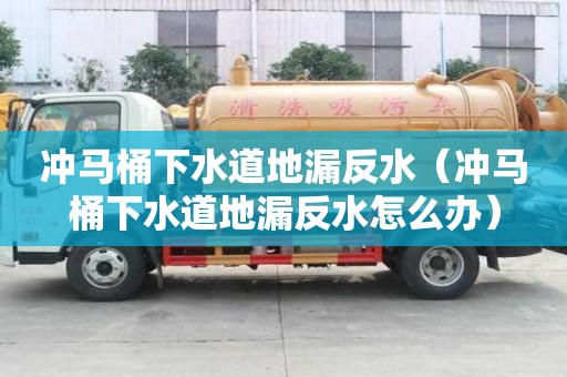 沖馬桶下水道地漏反水（沖馬桶下水道地漏反水怎么辦）