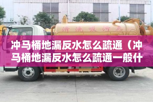 沖馬桶地漏反水怎么疏通（沖馬桶地漏反水怎么疏通一般什么價格）
