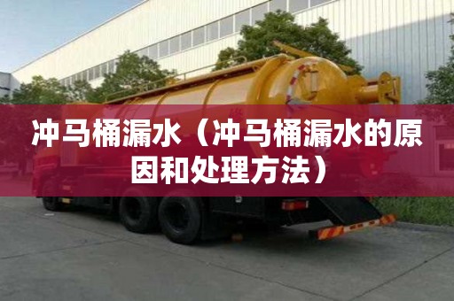 沖馬桶漏水（沖馬桶漏水的原因和處理方法）