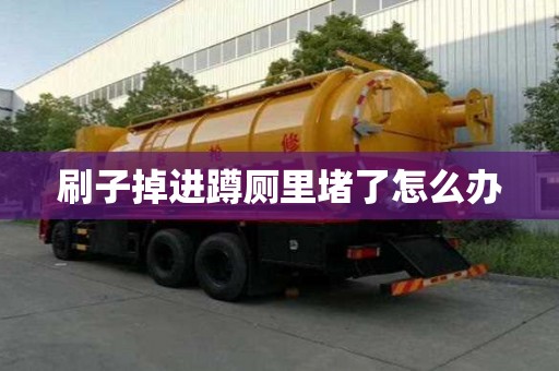 刷子掉進蹲廁里堵了怎么辦