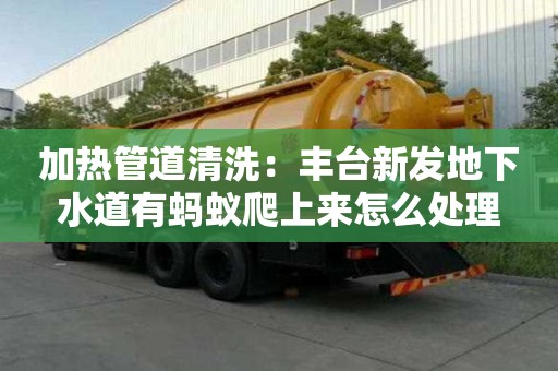 加熱管道清洗：豐臺新發地下水道有螞蟻爬上來怎么處理