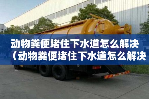 動物糞便堵住下水道怎么解決（動物糞便堵住下水道怎么解決視頻）