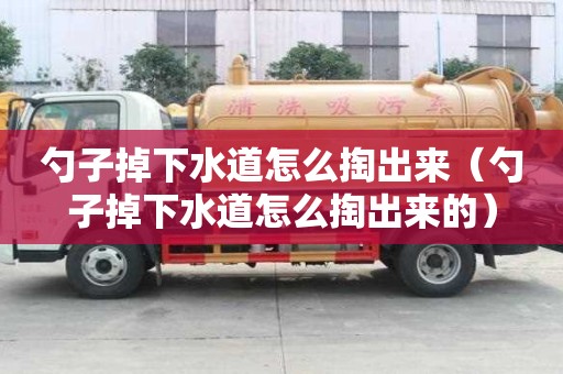 勺子掉下水道怎么掏出來(勺子掉下水道怎么掏出來的) 勺子掉下水道怎么掏出來(勺子掉下水道怎么掏出來的)