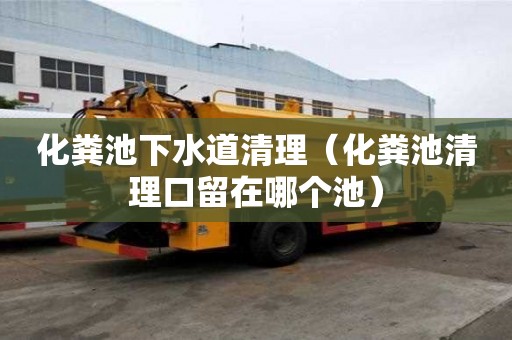 化糞池下水道清理（化糞池清理口留在哪個(gè)池）