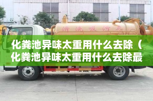 化糞池異味太重用什么去除（化糞池異味太重用什么去除最好）