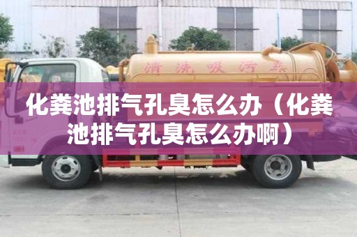 化糞池排氣孔臭怎么辦（化糞池排氣孔臭怎么辦啊）