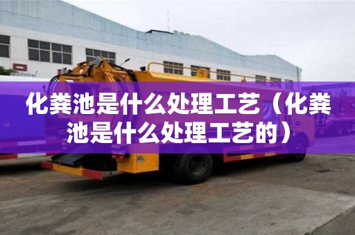 化糞池是什么處理工藝（化糞池是什么處理工藝的）