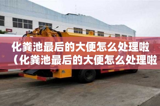 化糞池最后的大便怎么處理啦（化糞池最后的大便怎么處理啦視頻）