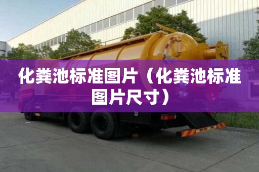 化糞池標(biāo)準(zhǔn)圖片（化糞池標(biāo)準(zhǔn)圖片尺寸）