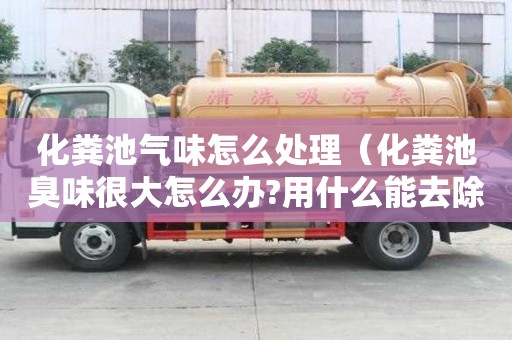 化糞池氣味怎么處理（化糞池臭味很大怎么辦?用什么能去除?）