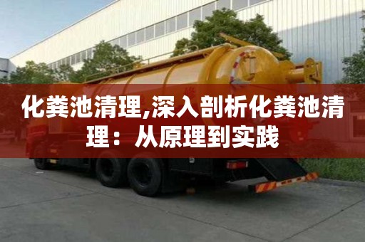 化糞池清理,深入剖析化糞池清理：從原理到實踐