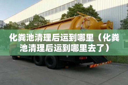 化糞池清理后運到哪里（化糞池清理后運到哪里去了）