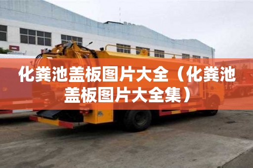 化糞池蓋板圖片大全（化糞池蓋板圖片大全集）