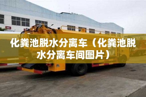 化糞池脫水分離車(chē)（化糞池脫水分離車(chē)間圖片）