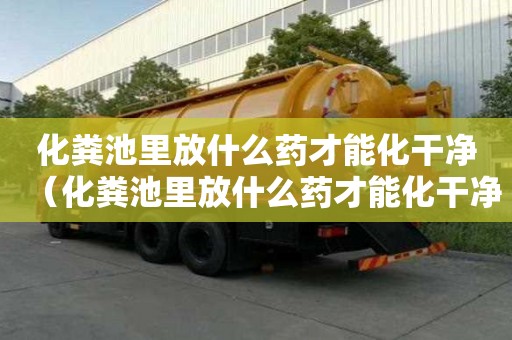 化糞池里放什么藥才能化干凈（化糞池里放什么藥才能化干凈呢）