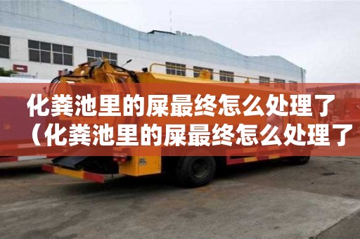 化糞池里的屎最終怎么處理了（化糞池里的屎最終怎么處理了呢）