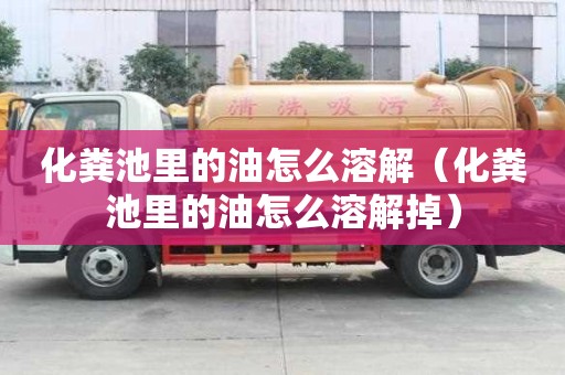 化糞池里的油怎么溶解（化糞池里的油怎么溶解掉）