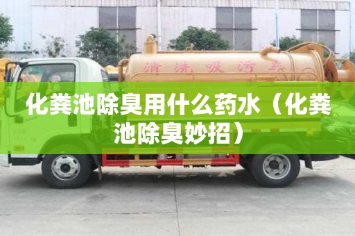 化糞池除臭用什么藥水（化糞池除臭妙招）