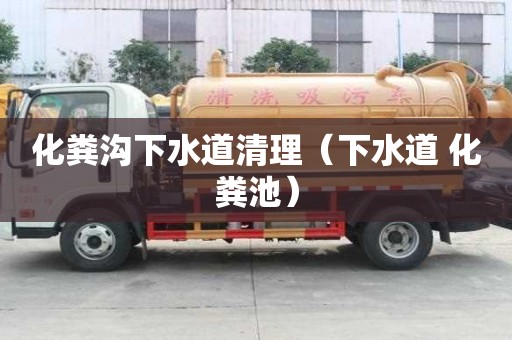 化糞溝下水道清理（下水道 化糞池）