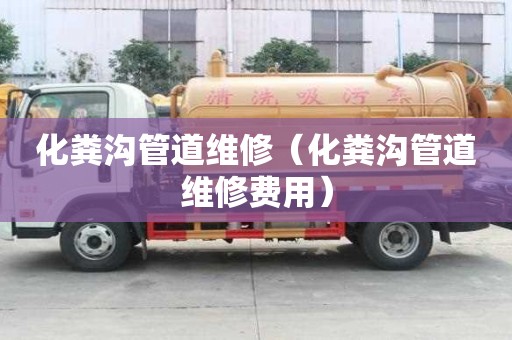 化糞溝管道維修（化糞溝管道維修費用）