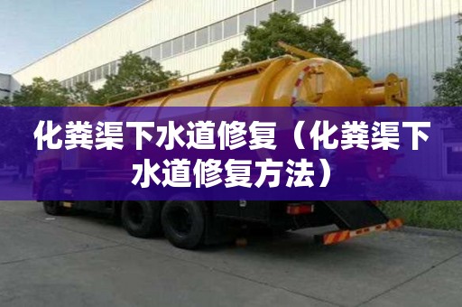 化糞渠下水道修復(fù)（化糞渠下水道修復(fù)方法）