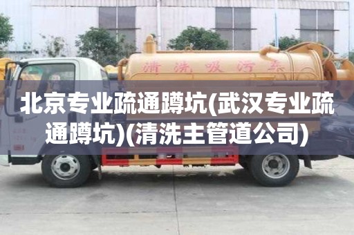 北京專業(yè)疏通蹲坑(武漢專業(yè)疏通蹲坑)(清洗主管道公司)