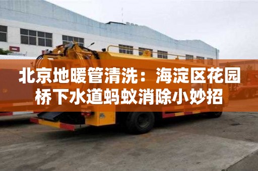 北京地暖管清洗：海淀區花園橋下水道螞蟻消除小妙招