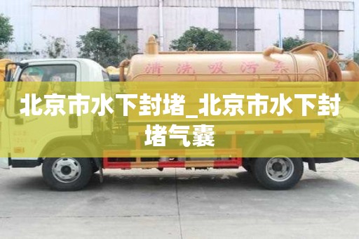 北京市水下封堵_北京市水下封堵氣囊