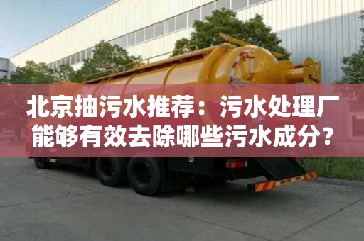 北京抽污水推薦：污水處理廠能夠有效去除哪些污水成分？