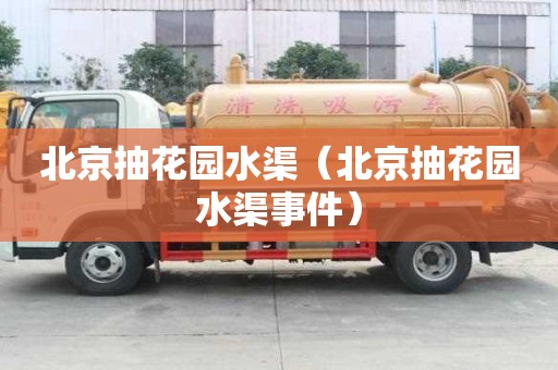 北京抽花園水渠（北京抽花園水渠事件）