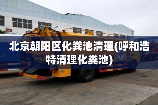 北京朝陽區化糞池清理(呼和浩特清理化糞池) 北京朝陽區化糞池清理(呼和浩特清理化糞池)