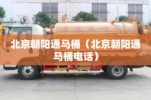 北京朝陽通馬桶（北京朝陽通馬桶電話）