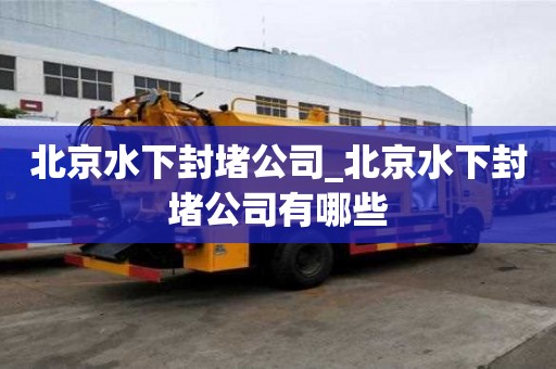 北京水下封堵公司_北京水下封堵公司有哪些